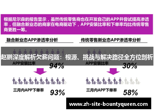 赵鹏深度解析欠薪问题：根源、挑战与解决路径全方位剖析