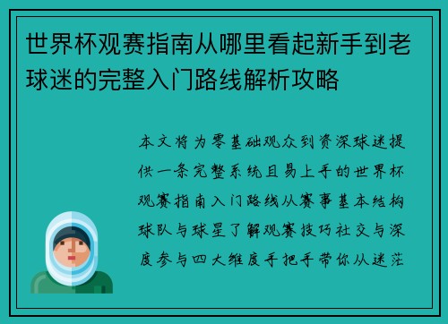 世界杯观赛指南从哪里看起新手到老球迷的完整入门路线解析攻略